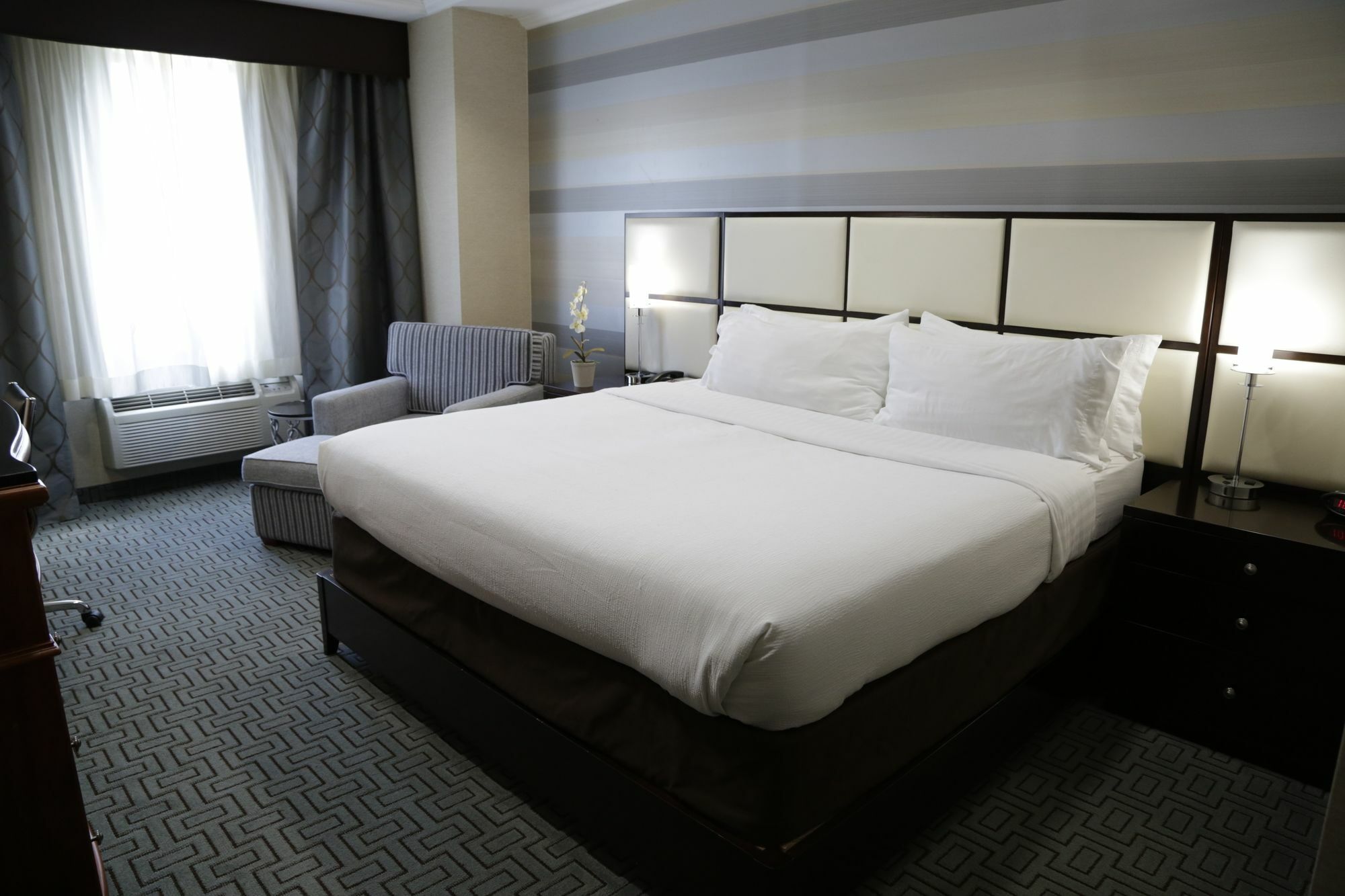 Holiday Inn Plainview-Long Island By Ihg Exteriér fotografie